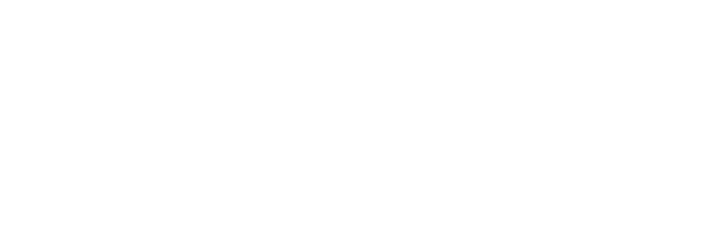 Rock Point logo